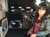 Janey with Mizuki, Scruffy and Zeta and Zaldi on the top bunk, on their journey from London to Sober in Galicia, N.W.Spain.